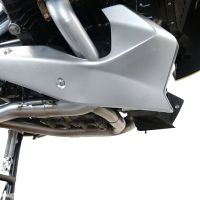 GPR exhaust compatible with  Bmw R 1250 R -Rs 2021-2024, Decatalizzatore, Decat pipe 